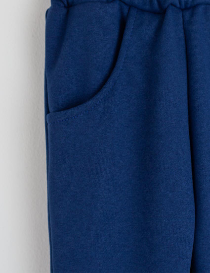 Брюки №5 Дика чорниця